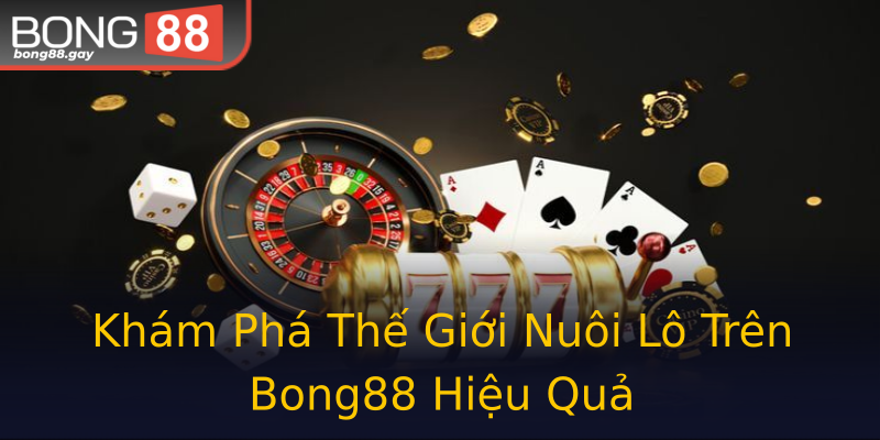 Khám Phá Thế Giới Nuôi Lô Trên Bong88 Hiệu Quả Khám Phá Thế Giới Nuôi Lô Trên Bong88 Hiệu Quả